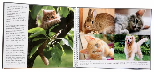 fotoboek maken fotoboek maken